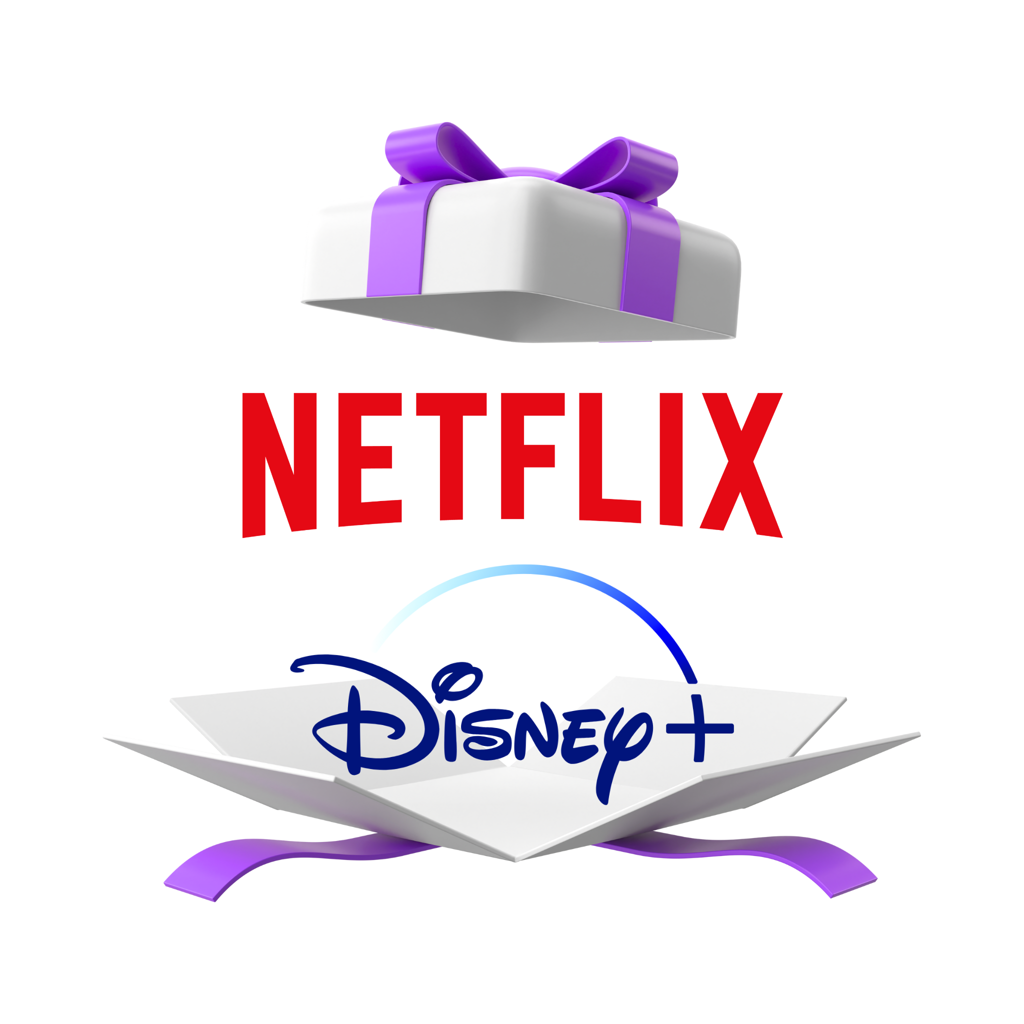 NETFLIX & Disney + (1 mes)