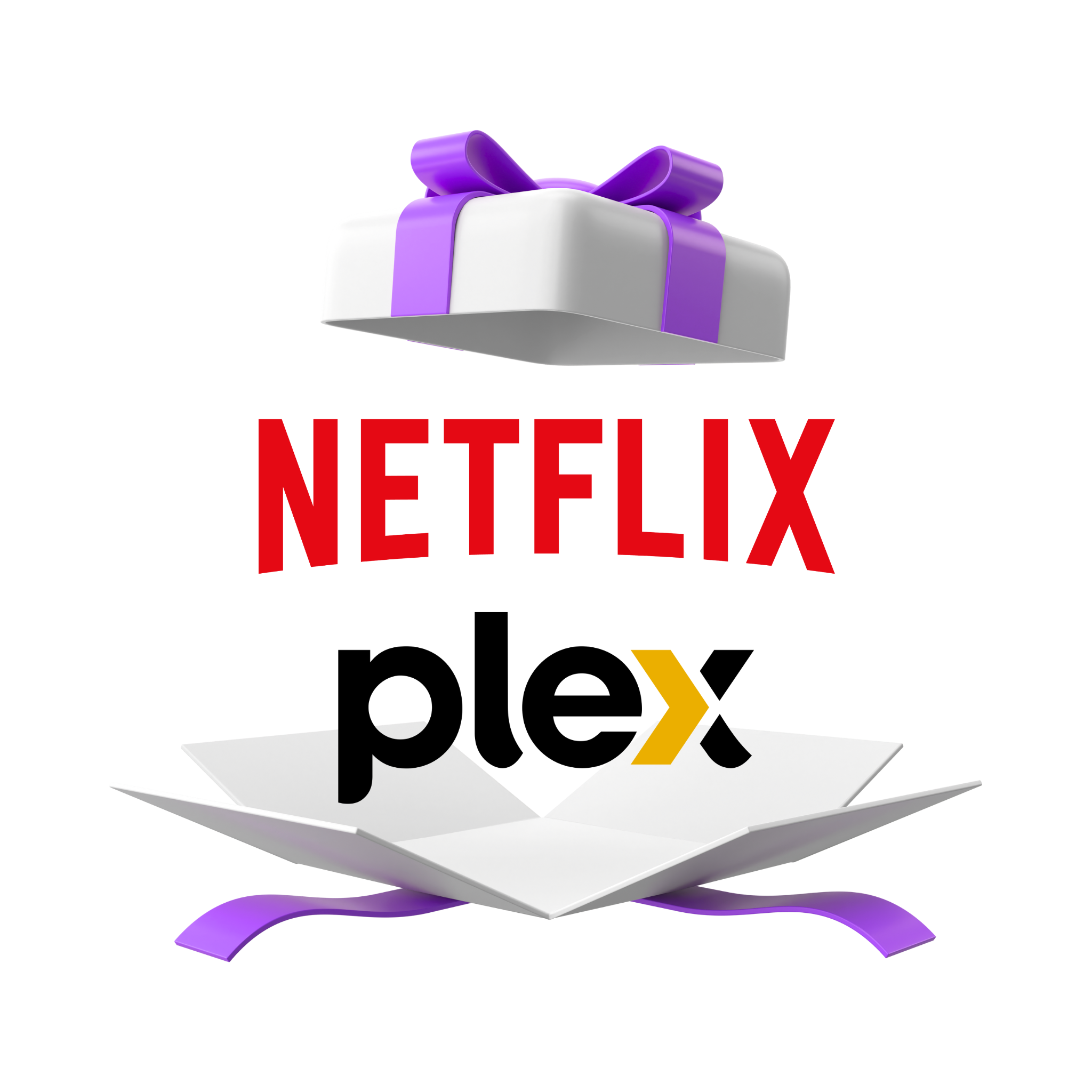 NETFLIX & Plex (1 mes)